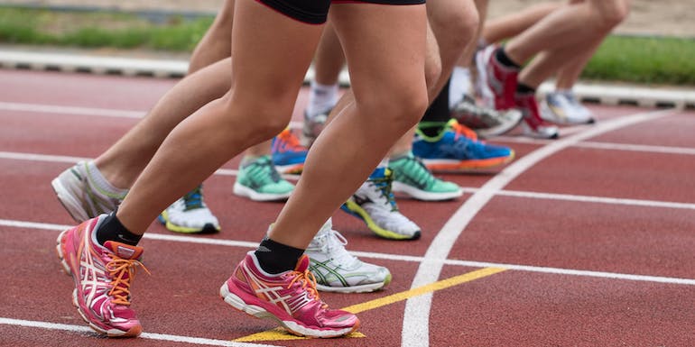 race track legs and trainers